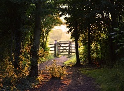 gate-155112_640